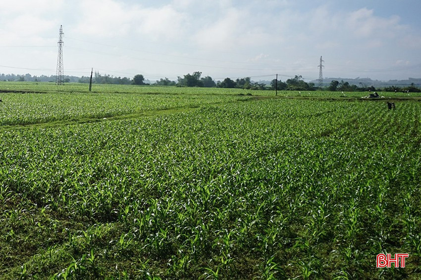 bqbht_br_dsc00341.jpg