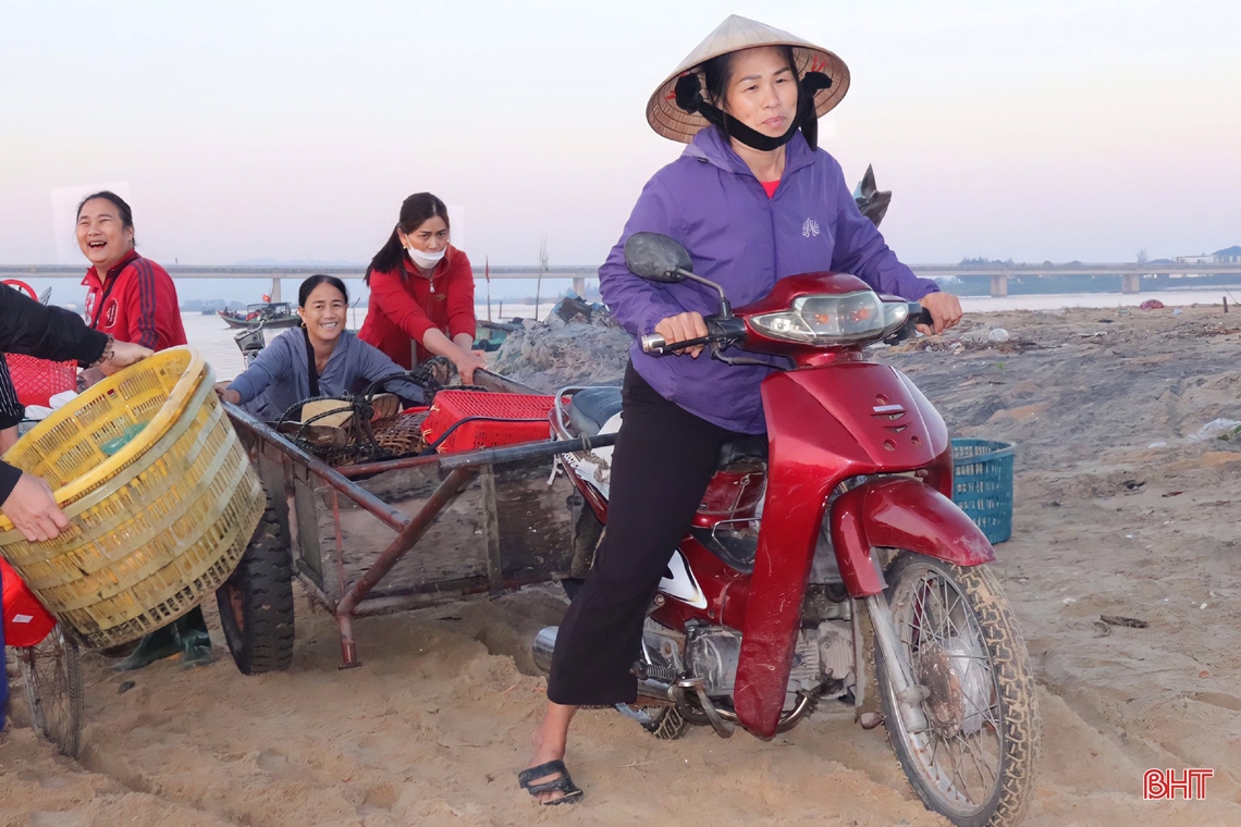 Ngư dân Hà Tĩnh trúng đậm hải sản