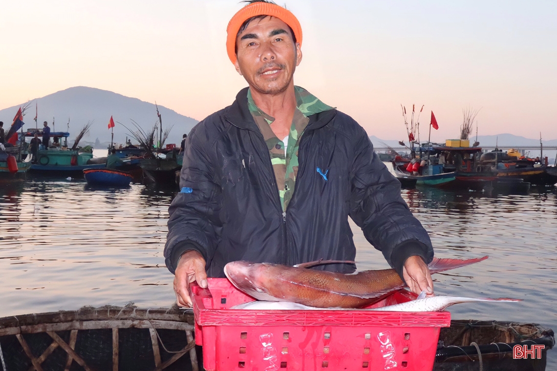 Ngư dân Hà Tĩnh trúng đậm hải sản