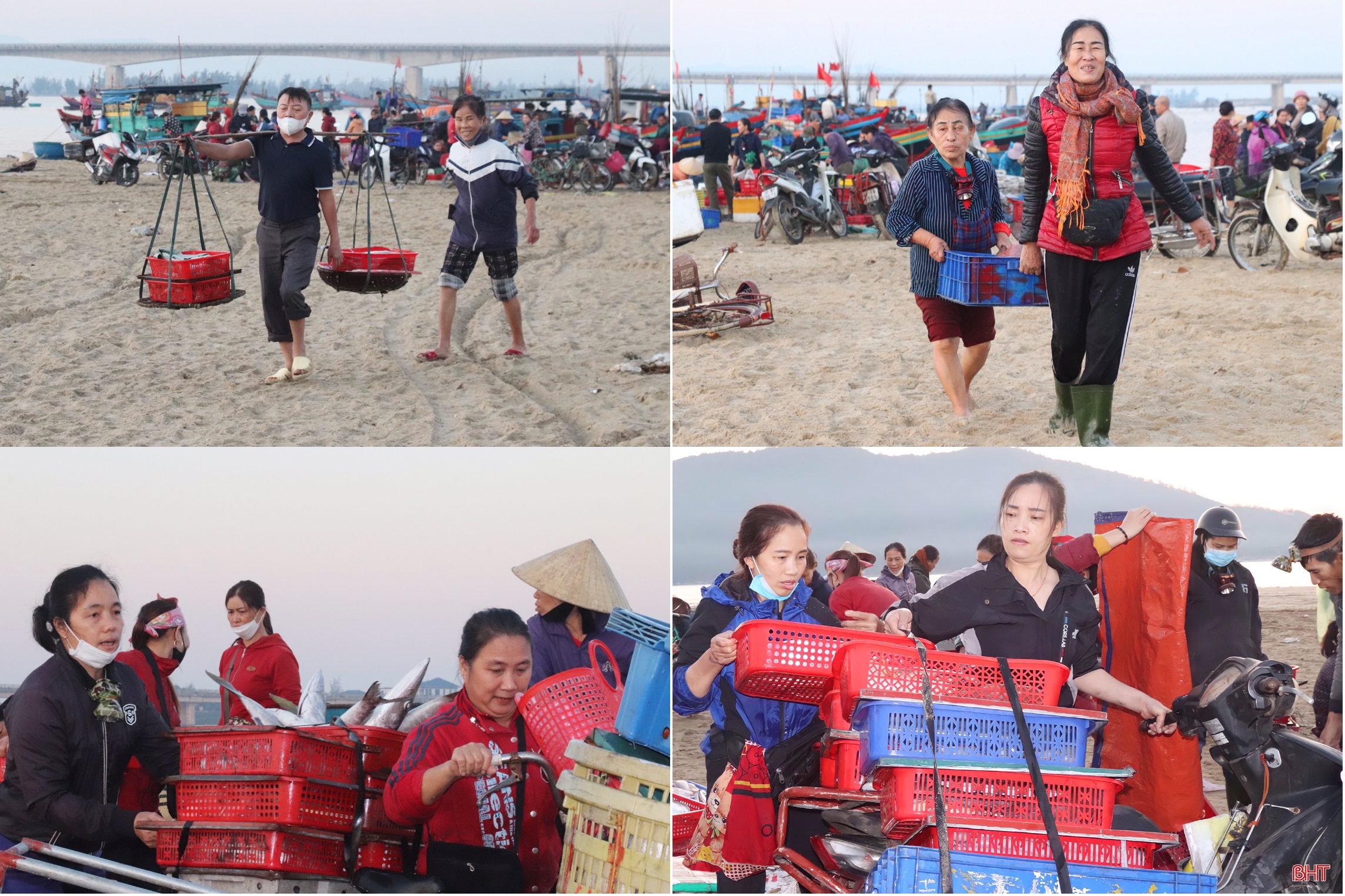 Ngư dân Hà Tĩnh trúng đậm hải sản