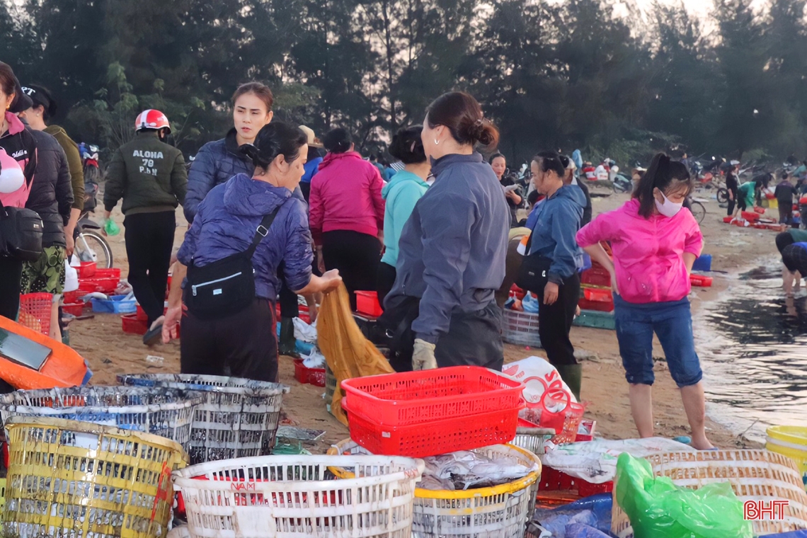 Ngư dân Hà Tĩnh trúng đậm hải sản