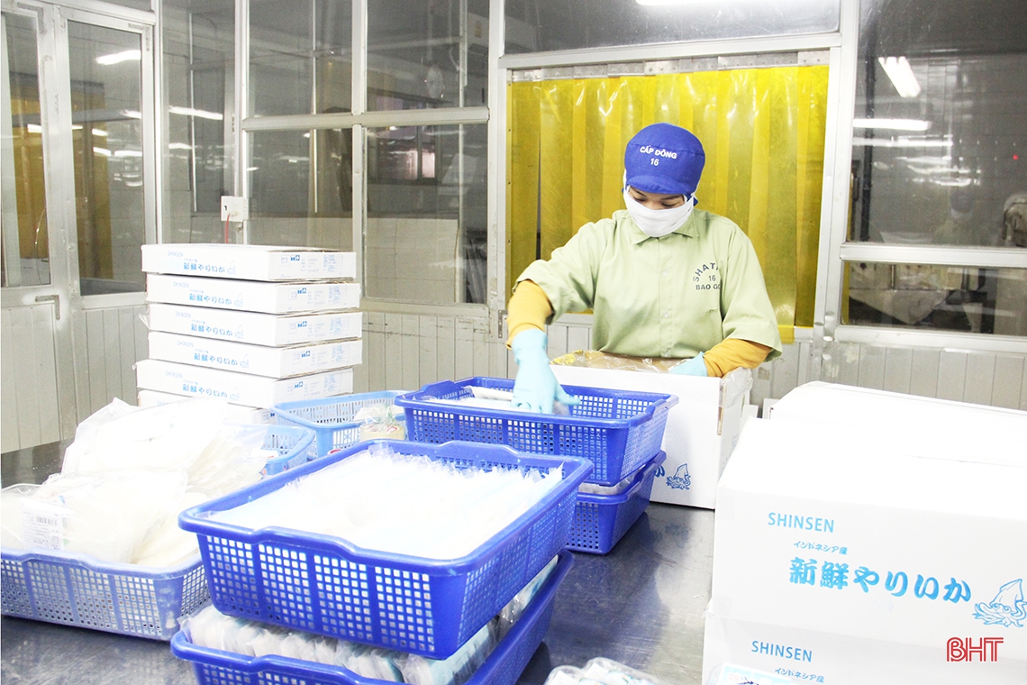 Hiệp hội Doanh nghiệp Hà Tĩnh vững tin chặng đường mới