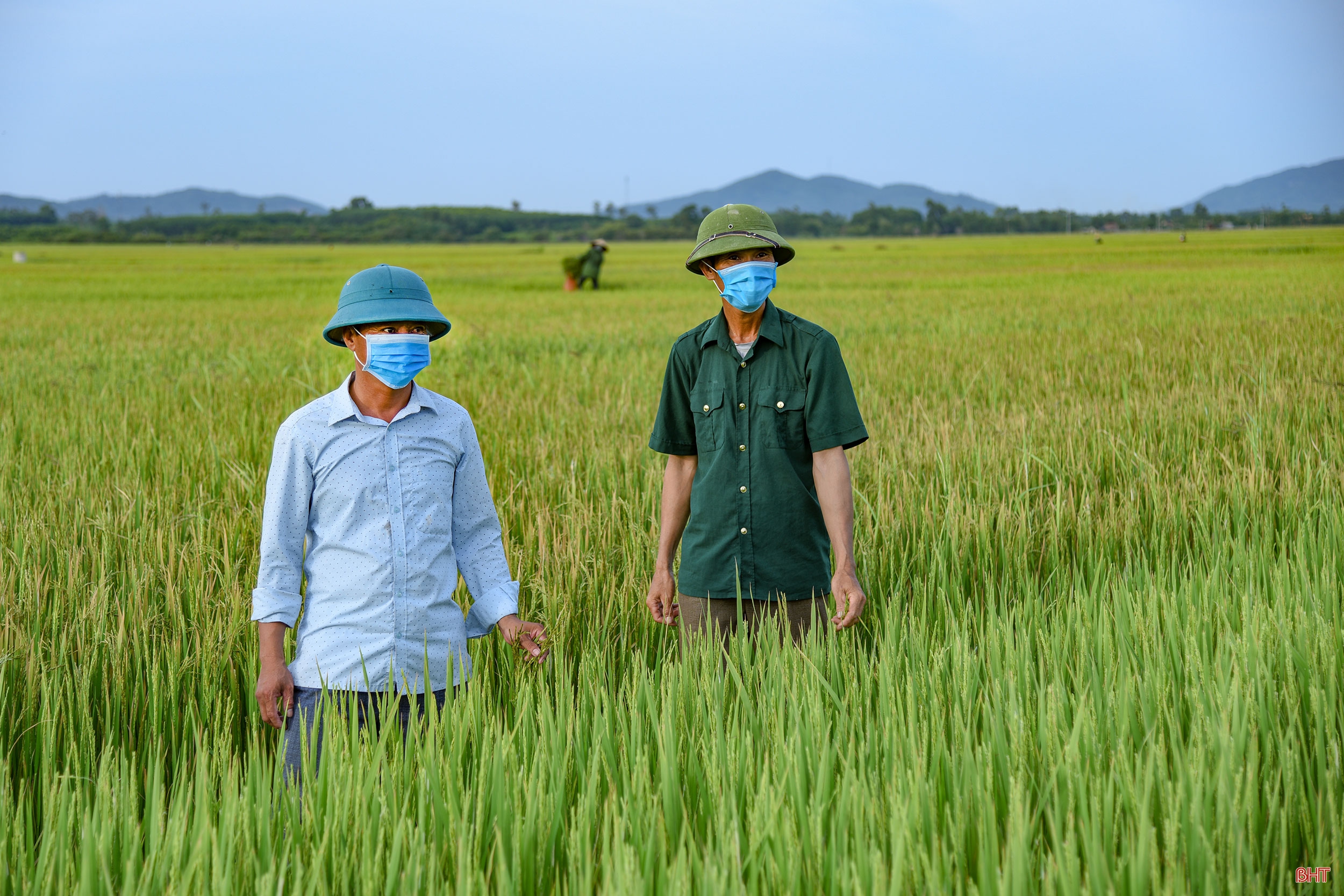 Tôi học Bác mỗi ngày, vui nhất là khi được cống hiến!