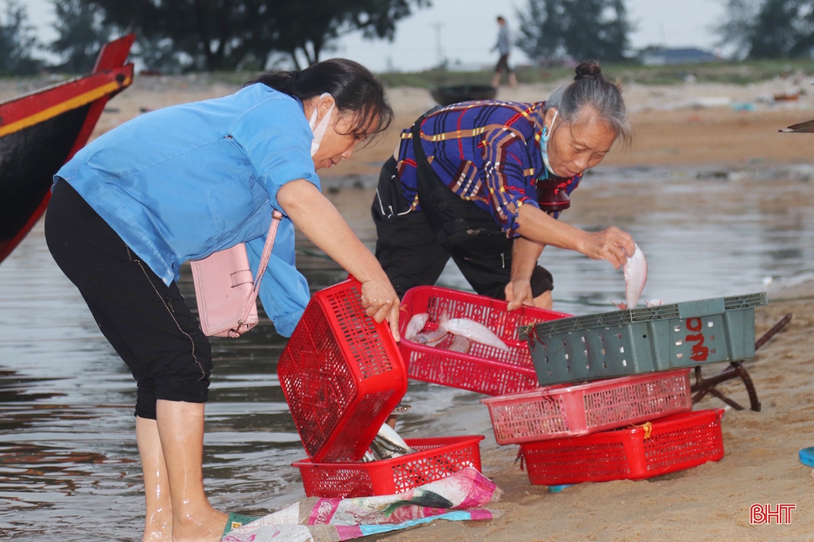 Ngư dân Hà Tĩnh nô nức bám biển, cung ứng hải sản tươi ngon dịp lễ