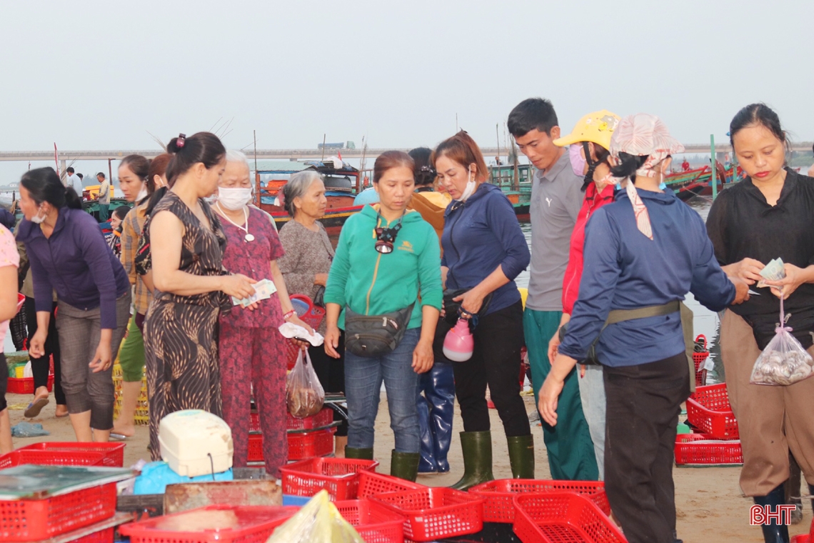Ngư dân Hà Tĩnh nô nức bám biển, cung ứng hải sản tươi ngon dịp lễ