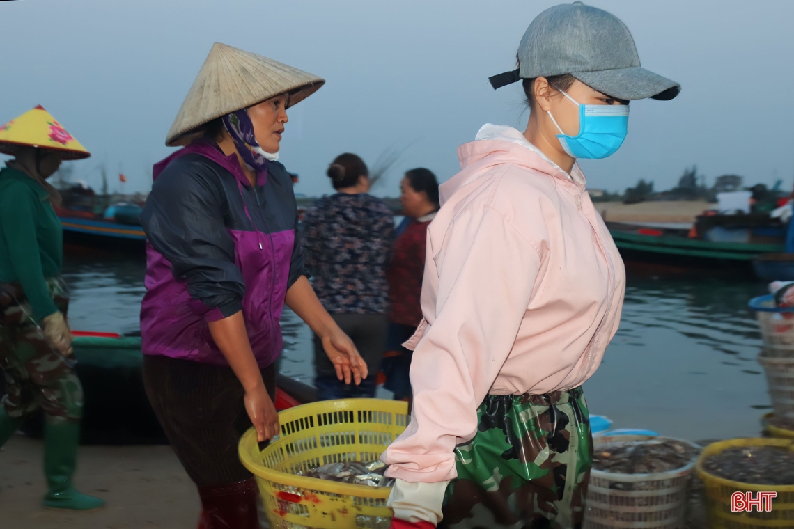 Ngư dân Hà Tĩnh nô nức bám biển, cung ứng hải sản tươi ngon dịp lễ