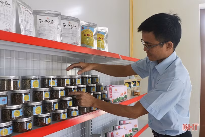 Xây dựng thương hiệu Sen Hào Thành, tạo giá trị bền vững
