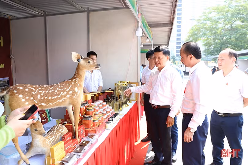 Nhộn nhịp mua sắm trong Tuần lễ Sản phẩm tiêu biểu Hà Tĩnh tại Hà Nội
