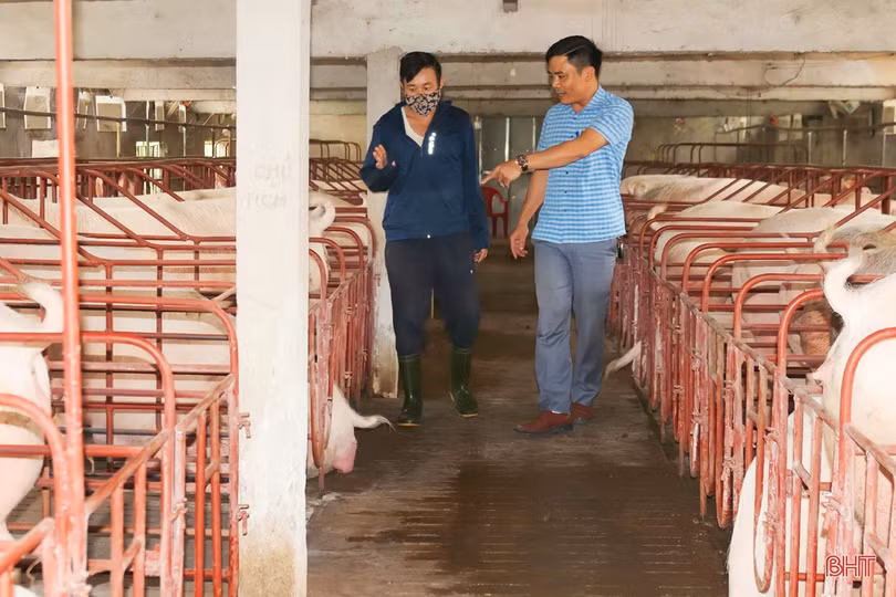 Thăm trang trại tổng hợp thu nhập tiền tỷ của nông dân Cẩm Xuyên