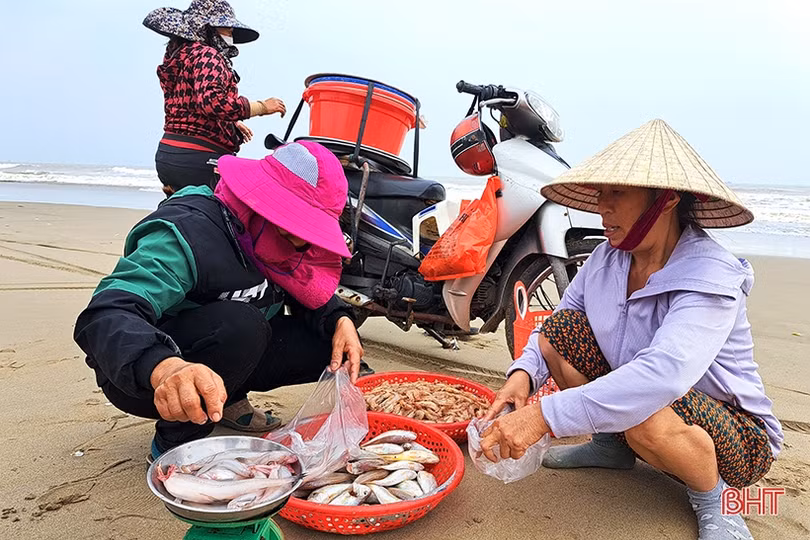 Thương lái “giành nhau” cá cháo đầu mùa