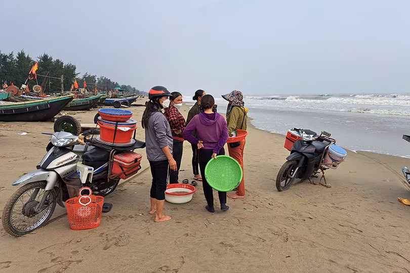Thương lái “giành nhau” cá cháo đầu mùa