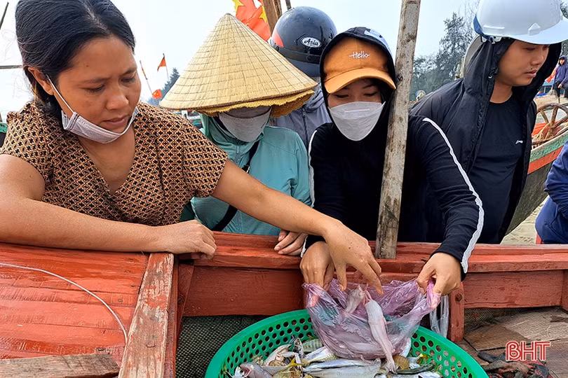 Thương lái “giành nhau” cá cháo đầu mùa