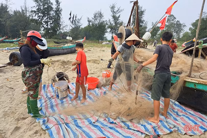 Thương lái “giành nhau” cá cháo đầu mùa
