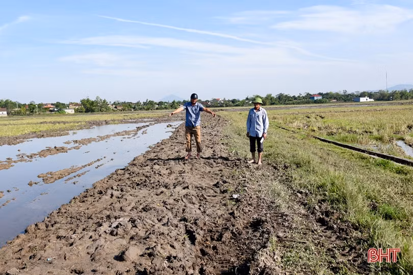 Tiếp tục chuyển đổi ruộng đất, Kỳ Anh hướng đến sản xuất nông nghiệp hiện đại