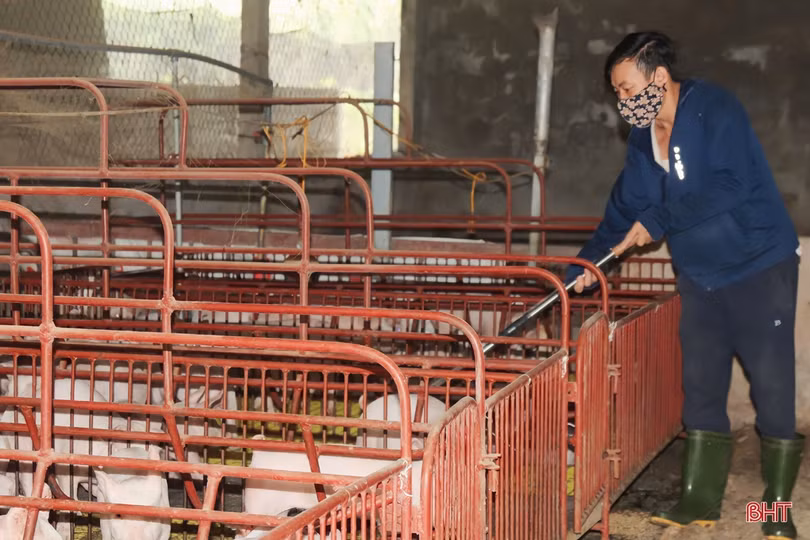 Thăm trang trại tổng hợp thu nhập tiền tỷ của nông dân Cẩm Xuyên