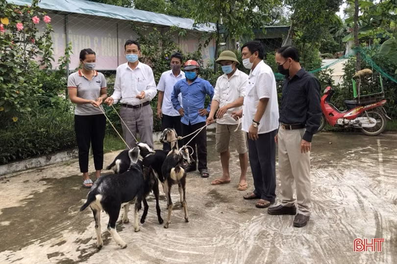 Huy động nguồn lực hỗ trợ sinh kế cho người nghèo ở Hà Tĩnh