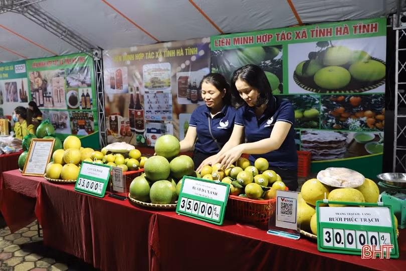 200 sản phẩm OCOP tiêu biểu các tỉnh Bắc Trung Bộ quy tụ tại TP Hà Tĩnh