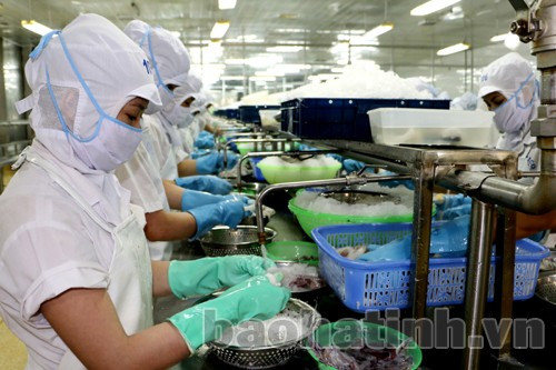 Công ty CP XNK Thủy sản Nam Hà Tĩnh là một trong những khách hàng truyền thống của VCB Hà Tĩnh