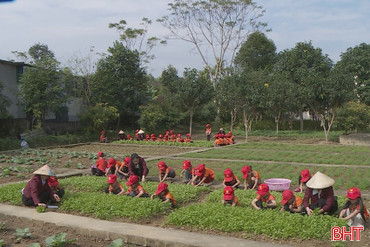 Hiệu quả mô hình vườn rau bán trú cho trẻ