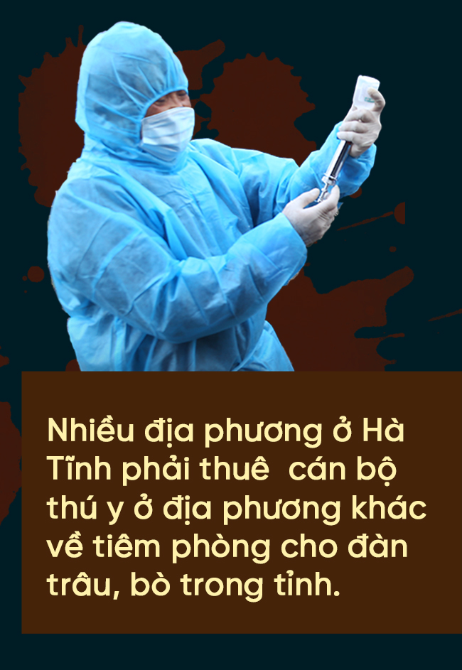 Dịch bệnh trên gia súc và “lá chắn” trong chăn nuôi (bài 2): Vì đâu dịch bệnh bùng phát và khó kiểm soát? ảnh 11 Dịch bệnh trên gia súc và “lá chắn” trong chăn nuôi (bài 2): Vì đâu dịch bệnh bùng phát và khó kiểm soát?