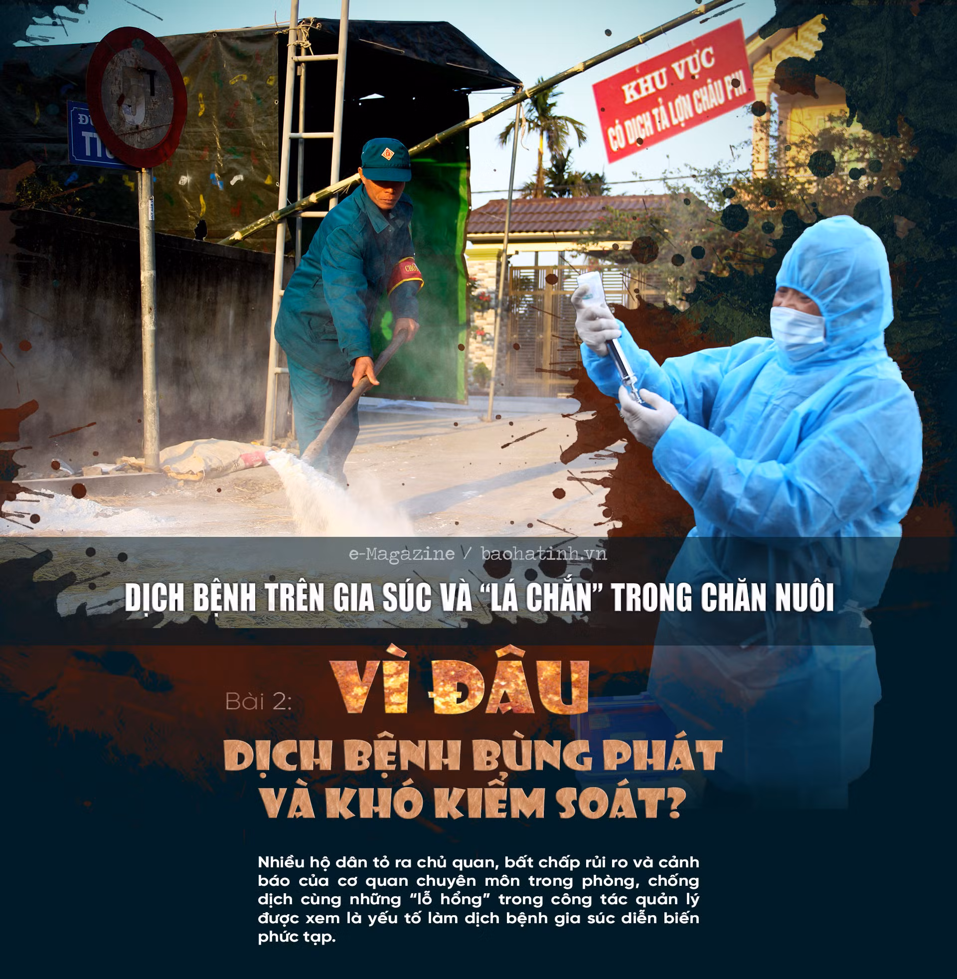 Dịch bệnh trên gia súc và “lá chắn” trong chăn nuôi (bài 2): Vì đâu dịch bệnh bùng phát và khó kiểm soát?