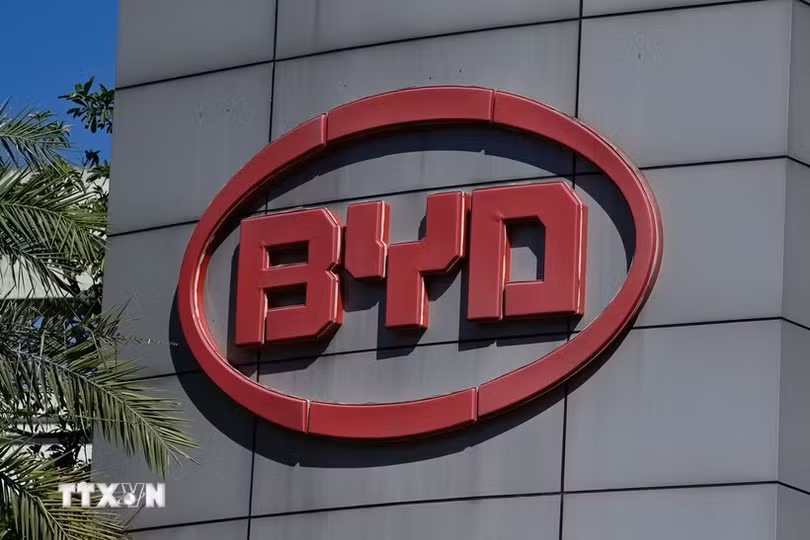 ttxvn-hang-xe-dien-byd-cua-trung-quoc-965jpg.jpg
