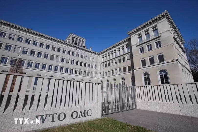 ttxvn-wto-1203jpg.jpg