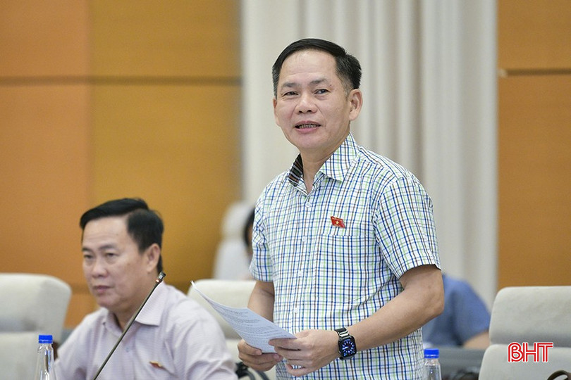 Đại biểu Trần Đình Gia - Ủy viên Ủy ban Pháp luật, Phó Trưởng Đoàn chuyên trách Đoàn ĐBQH tỉnh Hà Tĩnh phát biểu thảo luận.