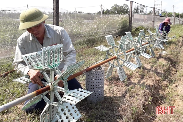 Người nuôi tôm Hà Tĩnh tin giành thắng lợi ngay vụ đầu tiên của năm