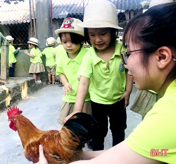 Bé Mầm non Trí Đức thăm cánh đồng rau, nông trại mùa xuân