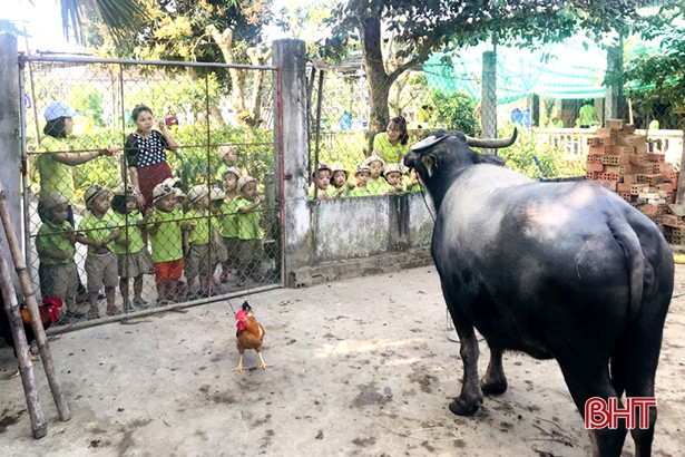 Bé Mầm non Trí Đức thăm cánh đồng rau, nông trại mùa xuân