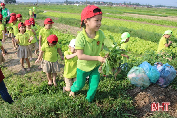 Bé Mầm non Trí Đức thăm cánh đồng rau, nông trại mùa xuân