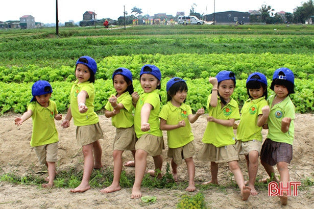 Bé Mầm non Trí Đức thăm cánh đồng rau, nông trại mùa xuân