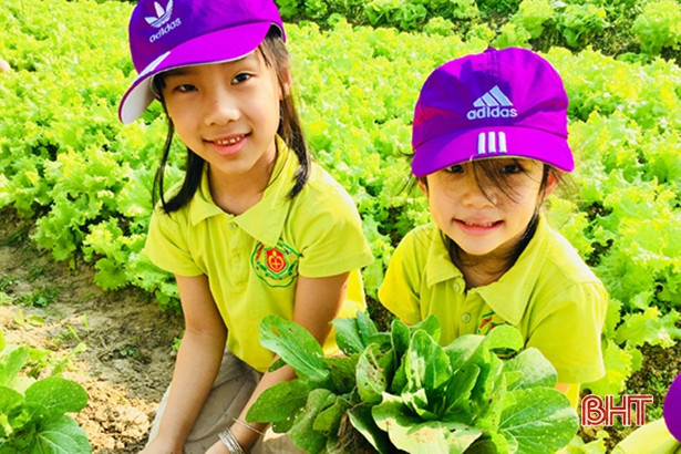 Bé Mầm non Trí Đức thăm cánh đồng rau, nông trại mùa xuân