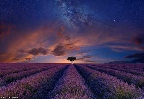 Ảnh chiến thắng cuộc thi Nhiếp ảnh gia Phong cảnh quốc tế