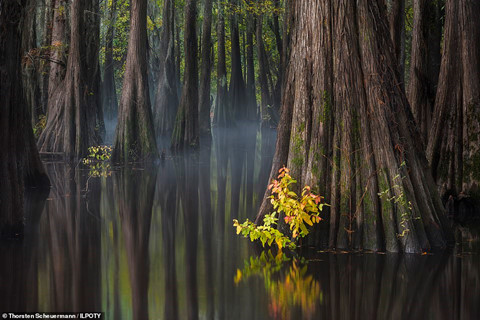 Ảnh chiến thắng cuộc thi Nhiếp ảnh gia Phong cảnh quốc tế hình ảnh 10 Ảnh chiến thắng cuộc thi Nhiếp ảnh gia Phong cảnh quốc tế