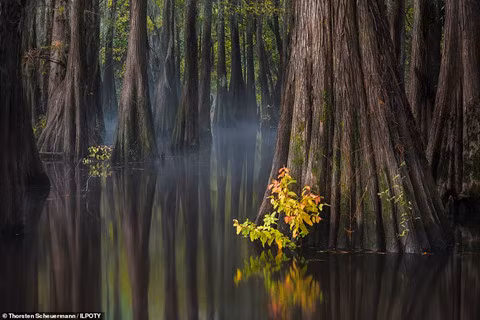 Ảnh chiến thắng cuộc thi Nhiếp ảnh gia Phong cảnh quốc tế
