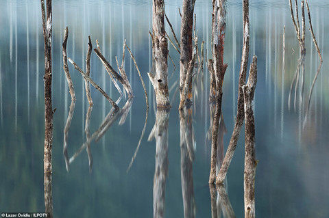 Ảnh chiến thắng cuộc thi Nhiếp ảnh gia Phong cảnh quốc tế hình ảnh 7 Ảnh chiến thắng cuộc thi Nhiếp ảnh gia Phong cảnh quốc tế