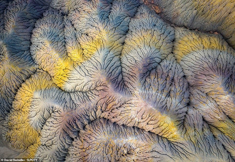 Ảnh chiến thắng cuộc thi Nhiếp ảnh gia Phong cảnh quốc tế hình ảnh 9 Ảnh chiến thắng cuộc thi Nhiếp ảnh gia Phong cảnh quốc tế