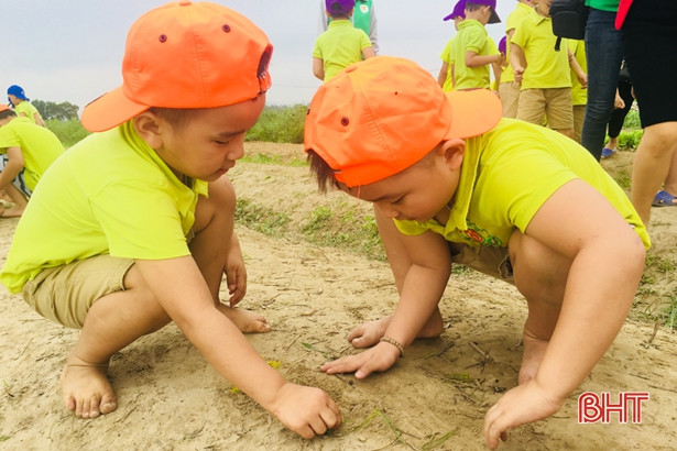 Bé Mầm non Trí Đức thăm cánh đồng rau, nông trại mùa xuân