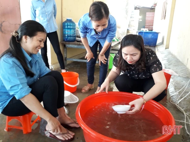 Người nuôi tôm Hà Tĩnh tin giành thắng lợi ngay vụ đầu tiên của năm