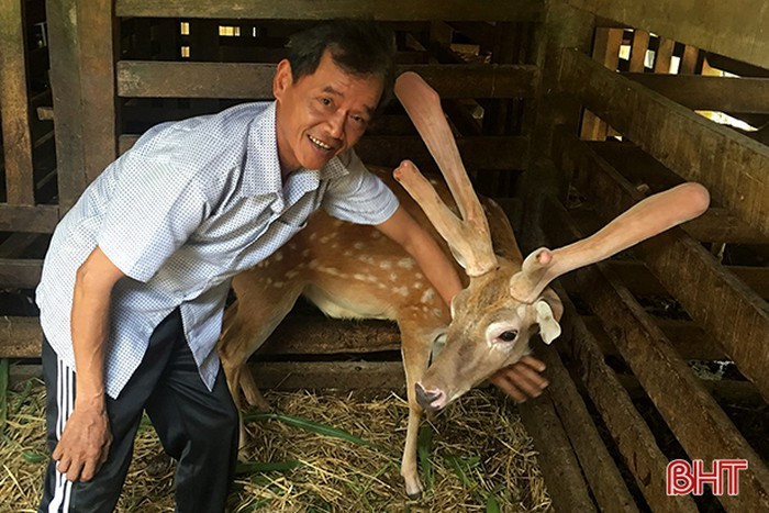 Làng Bảo Thượng - nơi nuôi chí lớn của Đại danh y Hải Thượng Lãn Ông