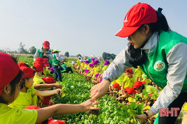 Bé Mầm non Trí Đức thăm cánh đồng rau, nông trại mùa xuân