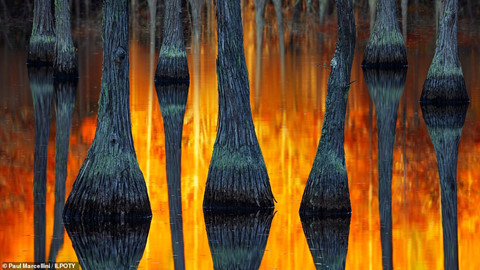 Ảnh chiến thắng cuộc thi Nhiếp ảnh gia Phong cảnh quốc tế hình ảnh 2 Ảnh chiến thắng cuộc thi Nhiếp ảnh gia Phong cảnh quốc tế