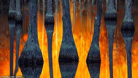 Ảnh chiến thắng cuộc thi Nhiếp ảnh gia Phong cảnh quốc tế