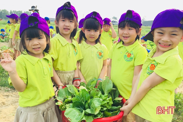 Bé Mầm non Trí Đức thăm cánh đồng rau, nông trại mùa xuân