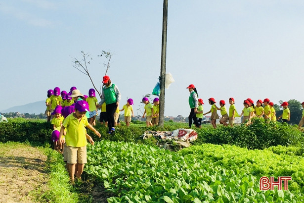 Bé Mầm non Trí Đức thăm cánh đồng rau, nông trại mùa xuân