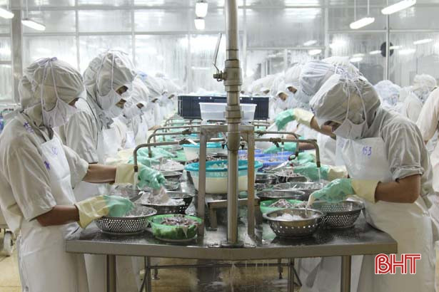 Thủy sản Nam Hà Tĩnh khai xuân đơn hàng 8 tỷ đồng