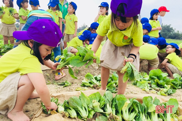 Bé Mầm non Trí Đức thăm cánh đồng rau, nông trại mùa xuân