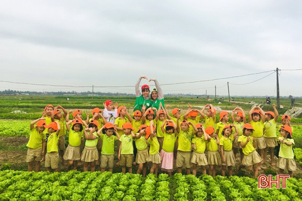 Bé Mầm non Trí Đức thăm cánh đồng rau, nông trại mùa xuân